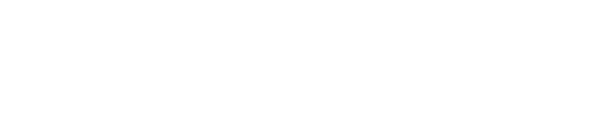Startup Chihuahua